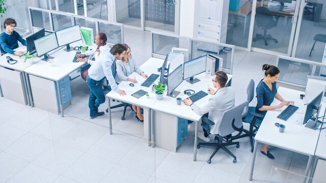 In the Bright Busy Office Rows of Young Professionals Working on Desktop Computers, Doing Client Support, Communicating with Customers, Monitoring Statistics, Walking Thorugh Hallway. High Angle Shot