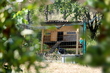 Selbstgebauter Hühnerstall im Garten mit Elektrozaun. © Oda Hoppe