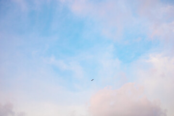 Birds flying in the distant sky