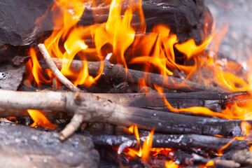 Campfire in the mountains. Close up hot Campfire
