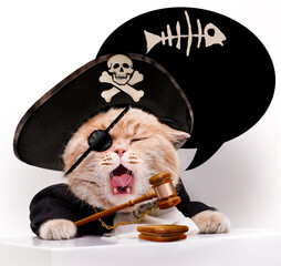 Screaming cat in a pirate hat.Côte referee.Cat with judicial gavel.