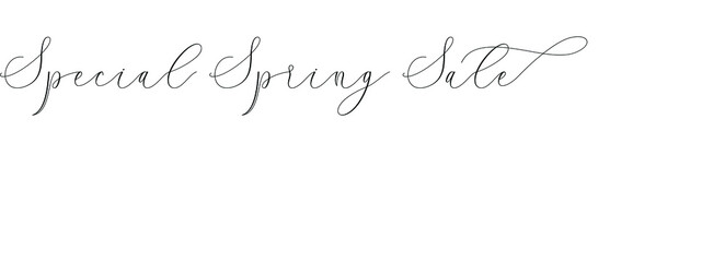 Special Spring Sale handwritten typography text