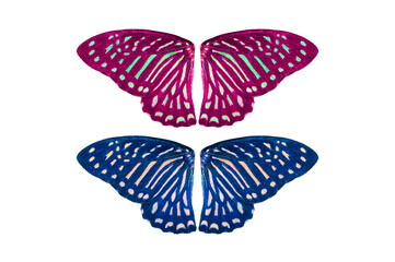 Beautiful buterfly winged isolated on white background