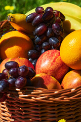 Basket of various fruits in the sunlight on a meadow with yellow flowers.