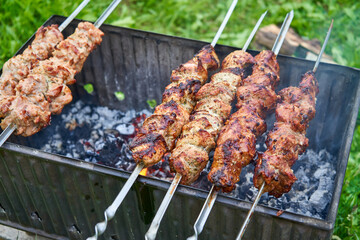 shish kebab on the barbecue ready to be eaten 