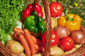 Basket of various vegetables in the sunlight on a meadow with yellow flowers.