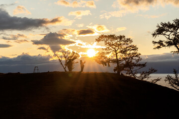 Old tree silhouette on a hill at a colorful sunset