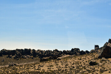 the Andean plateau Altiplano 30