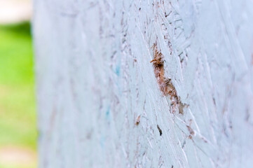 White wooden structural insulating panel with a hole. SIP texture background. Close up macro.