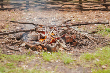 fire in the forest burning wood and coals
