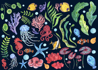 Fototapeta na wymiar Big watercolor set of hand-drawn illustrations on an ocean theme. Sea reef fish, octopuses and jellyfish, corals, seaweed and plants, air bubbles and snails for colorful summer design