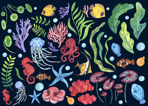 Big watercolor set of hand-drawn illustrations on an ocean theme. Sea reef fish, octopuses and jellyfish, corals, seaweed and plants, air bubbles and snails for colorful summer design