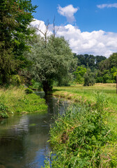 Fototapeta na wymiar Winding brook in the Altmuehltal valley