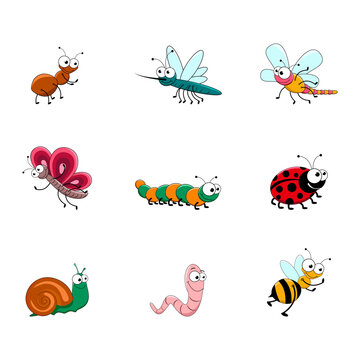 Set of funny insects in cartoon style. Vector illustration isolated on white background.