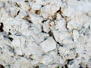 the floor covering is old monochrome. polished stone texture beautiful for wall background and color gray add text