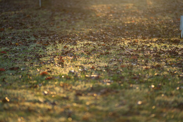 sunrise in the morning at autumn camp