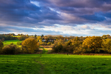 The last days of Autumn, A November walk around the high weald of Kent from Goudhurst