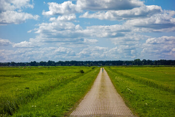 Panoramic view of wanderer in a meadow near Eemnes, Netherlands
