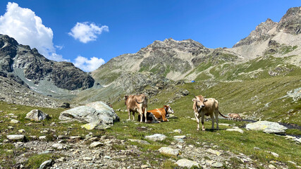 Lombardei Italien