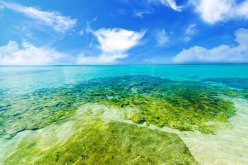 Okinawa Beach Japan