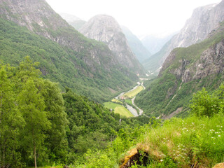 top view of the mountain gorge. summer in the mountains