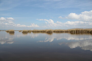 clouds reflecting at Lake Neusiedl in austria