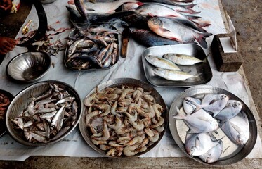 Variety for fish being sold in Indian Fishmarket