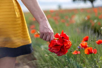 Girl dressed with yellow dress in a poppy garden
