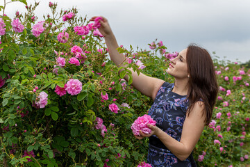 Woman in a Bulgarian pink rose garden