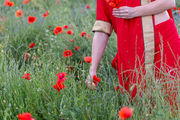 Yound girl dressed in Indian Sari in a poppy flower garden