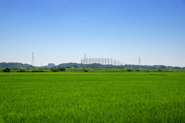 田園風景