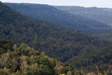 Obraz premium Mountains with trees outdoors