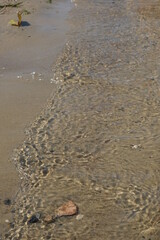 Sandy beach and waves. Place for text.
