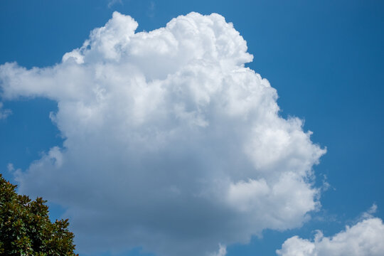 blue skies