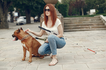 Guide dog helping blind woman on pedestrian crossing. Woman with stick.