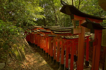 TORII, many Japanese religious objects lined in the shrine