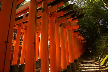 TORII, many Japanese religious objects lined in the shrine