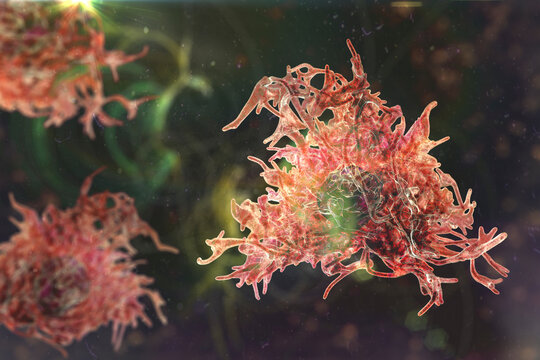 Human parasitic amoeba with pseudopodia