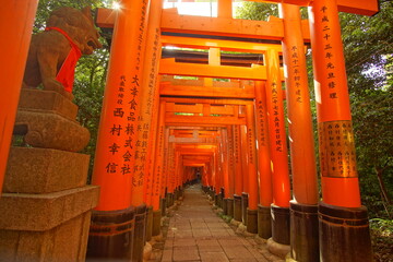 TRII, in  Fushimi Shinto shrine, Kyoto, Japan