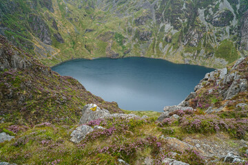Fototapeta na wymiar Lake with blue water in the mountains, surrounded by a green clearing with heathers.