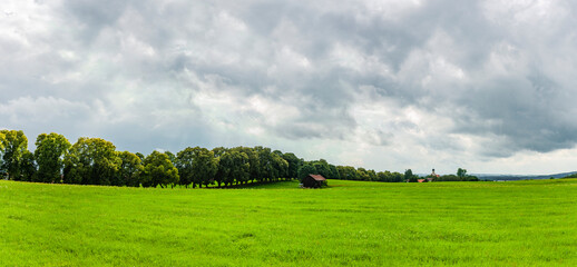 Fototapeta na wymiar Grüne Wiese und Baumreihe am Horizont