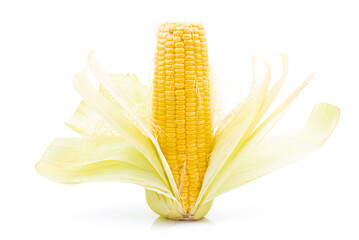 Raw corn on a white background