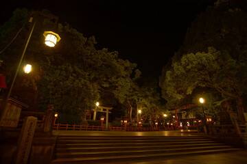 A cityscape of Kyoto at night, Japan