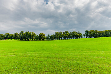Grüne Wiese und Baumreihe am Horizont
