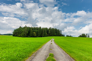 Wanderweg über Grüne Wiesen und Wald