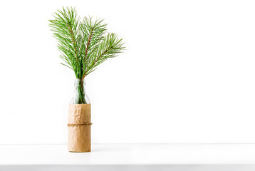 New year still life with Christmas tree branch in glass bottle on white background. Mock up, minimalism, copy space for text and lettering, front view