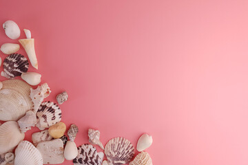 Seashells frame on pink background, top view, copy space. Holiday concept.