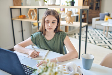 Serious girl looking at laptop display while taking part in online discussion