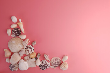 Seashells frame on pink background, top view, copy space. Holiday concept.
