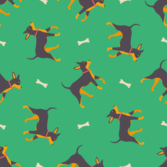 Seamless pattern with russian toy terrier for different design. Background with cute family dog in overalls, with text.